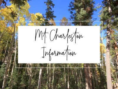 Mt. Charleston Information